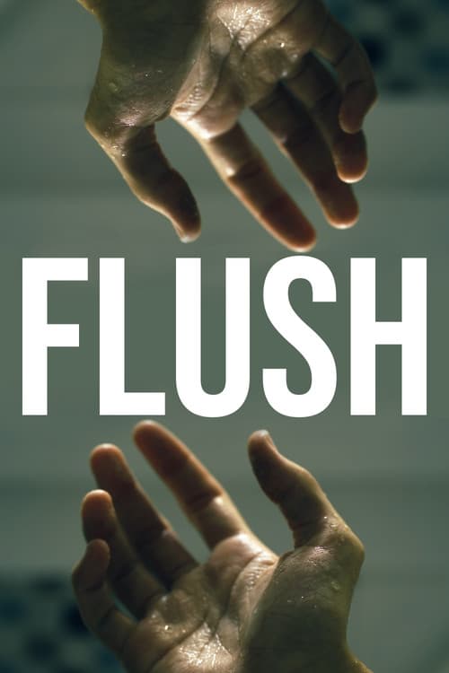 FLUSH afişi