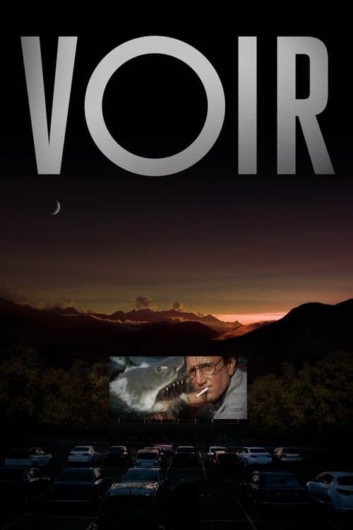 Voir afişi