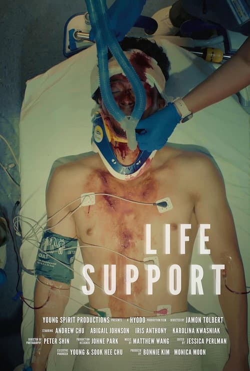Life Support afişi