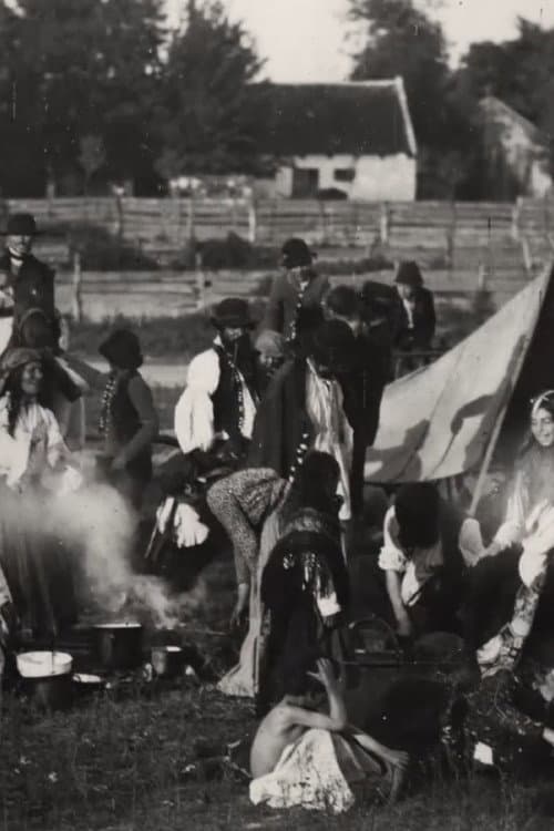 A Camp of Zingaree Gypsies afişi