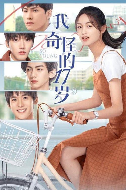 我奇怪的17岁 afişi