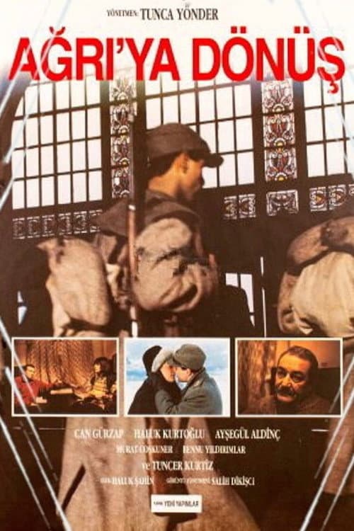 Ağrı'ya Dönüş afişi