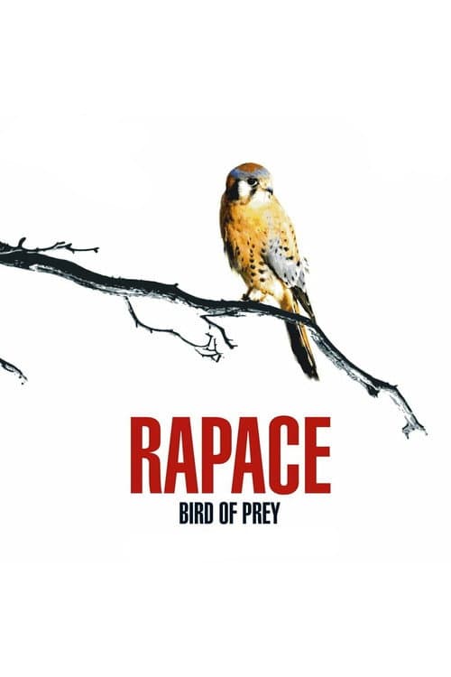 Rapace afişi