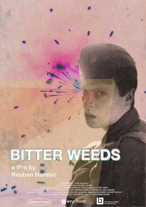 Bitter Weeds afişi