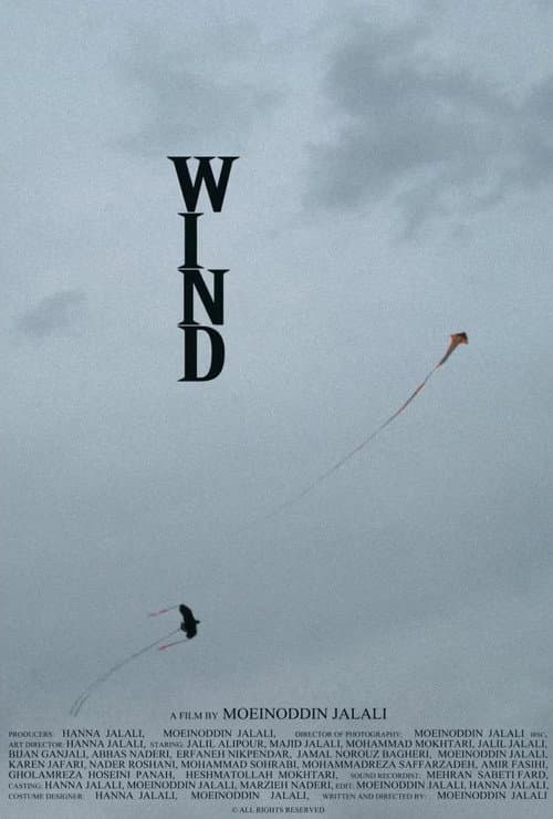 Wind afişi