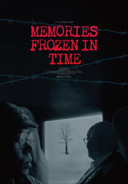 Memories Frozen in Time afişi