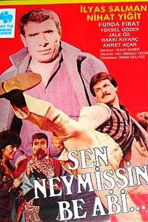 Sen Neymişsin Be Abi... afişi