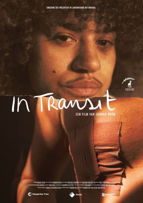 In Transit afişi