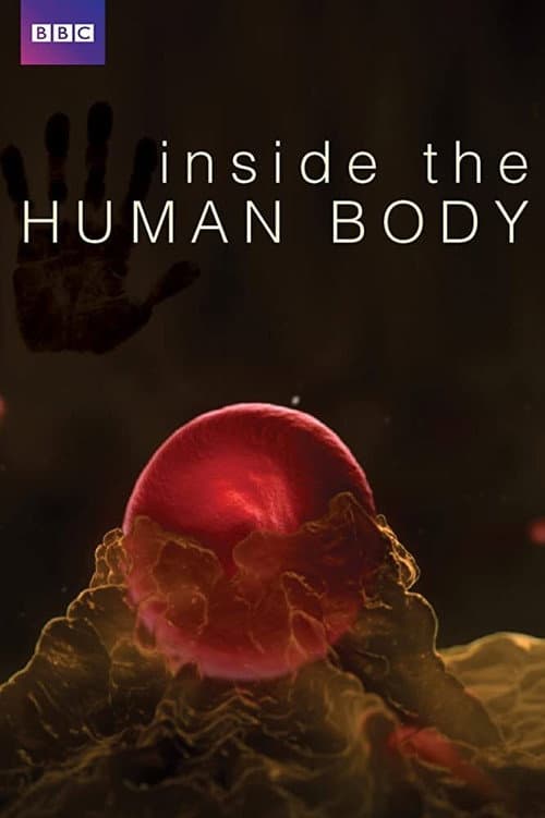 Inside the Human Body afişi