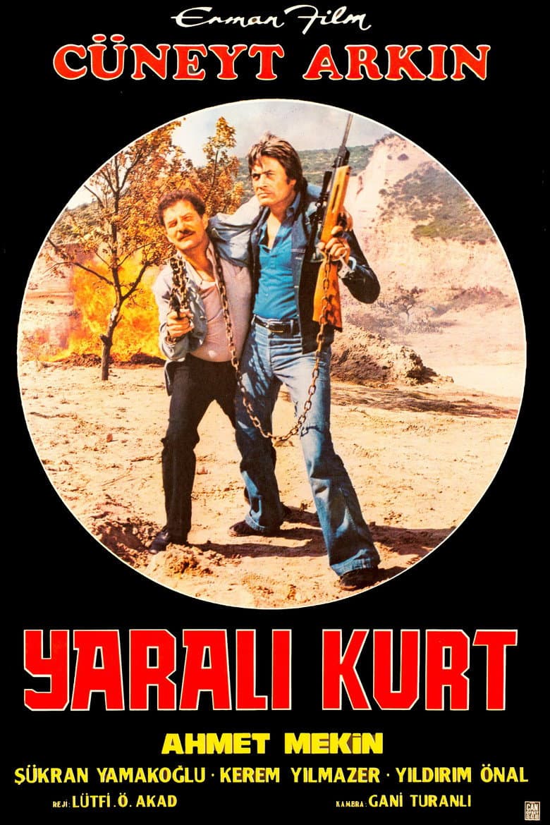 Yaralı Kurt