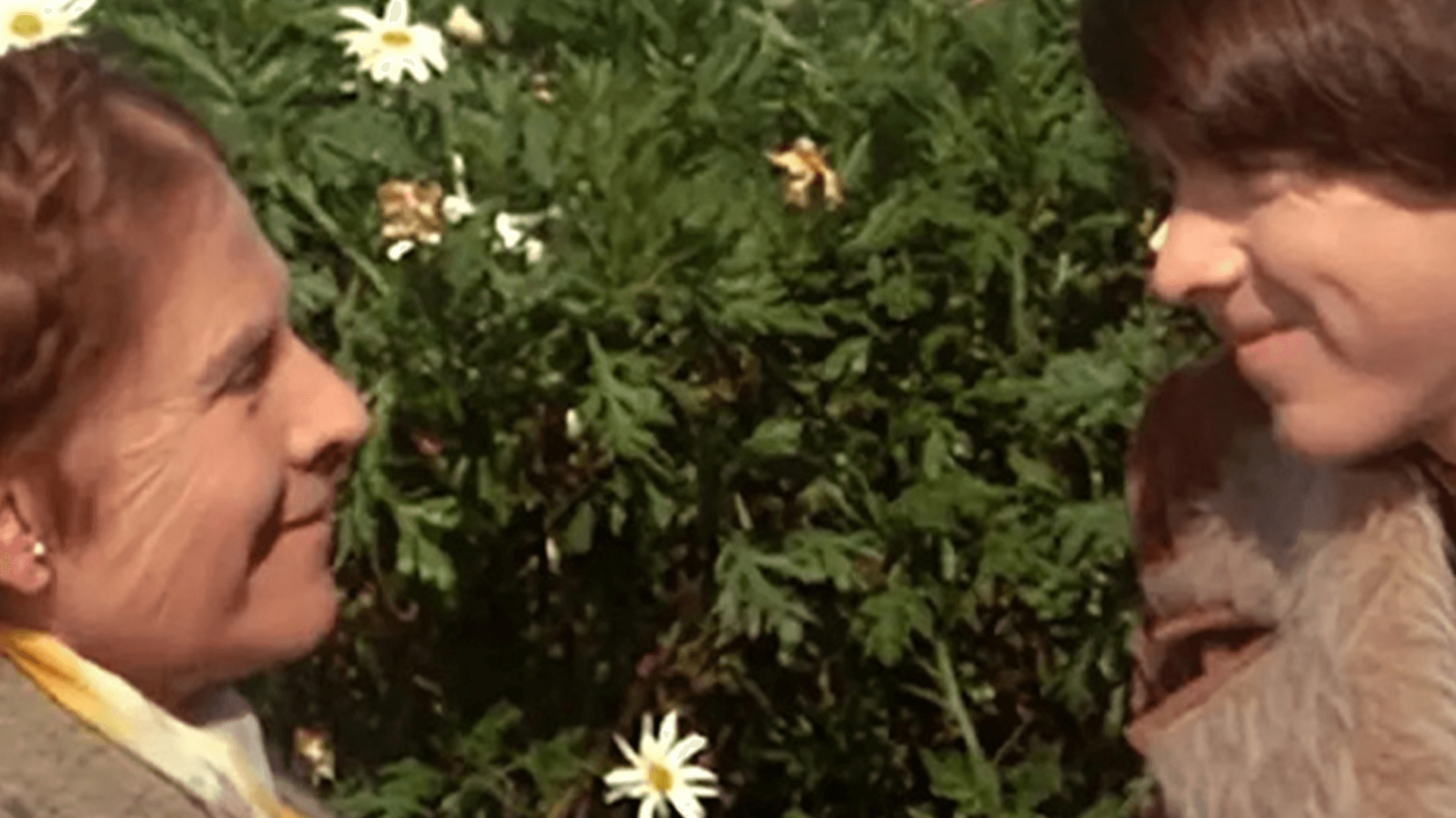Harold ve Maude